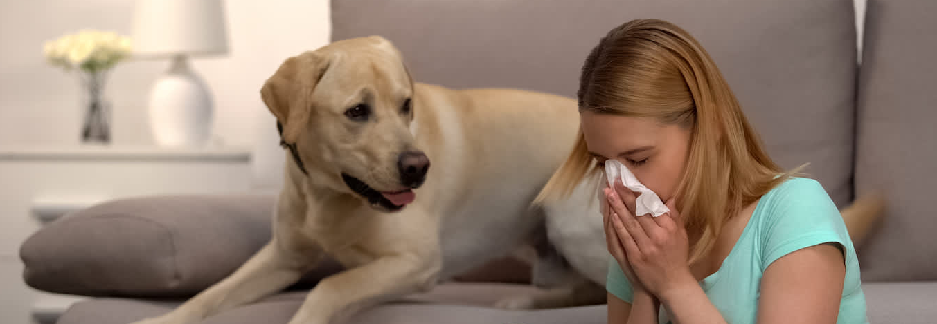 Allergie voor huisdieren